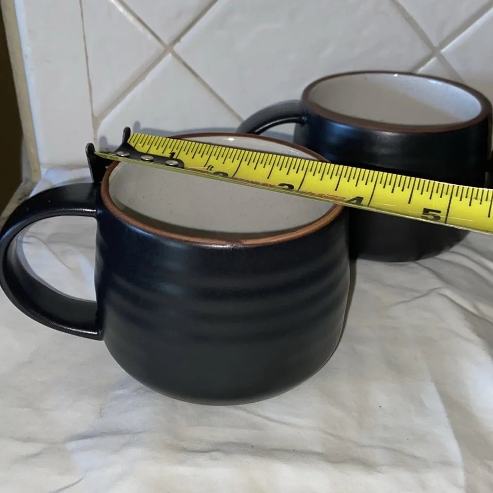 Like new set of 4 Crate & Barrel 18th Street Mugs Boho Rustic Stoneware